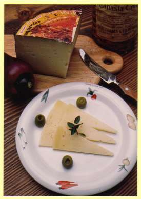 スペインチーズ